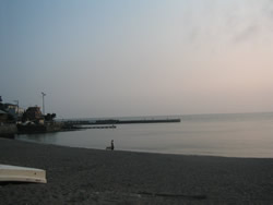 �V���̃V���G�b�g