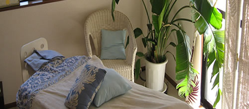 �T�����߂����猩����x�m�R