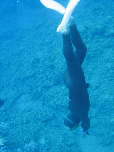 freediver.jpg