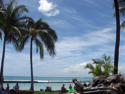 waikikibeach.jpg
