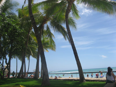waikikibeach01.jpg
