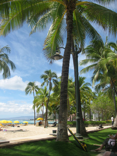 waikikibeach02.jpg