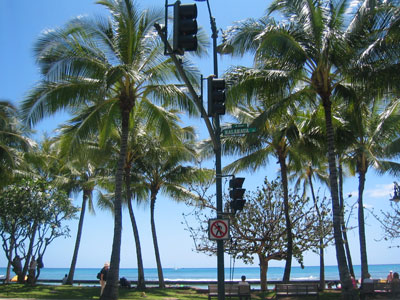 waikikibeach03.jpg