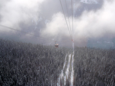whistler05.jpg